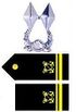 중위 견장.JPG