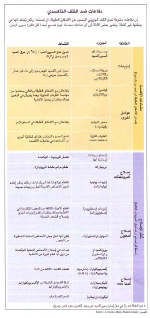 SCI95b11N8-79.JPG