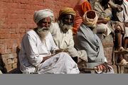 Shivas Kinder - 0238.jpg
