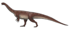 Massospondylus carinatus