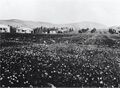 كفار جلعادي عام 1930