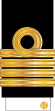16-IRIN-CAPT-(Sleeve).svg