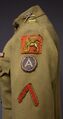 Sleeve insignia of the US 332nd Infantry Regiment (United States), which served alongside Italian troops in WW1.