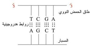 4551-8.jpg