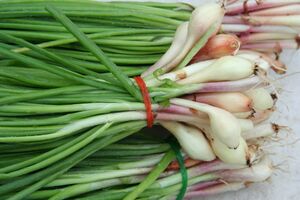 GreenOnions.jpg