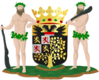 درع سرتوخن‌بوس