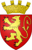 درع Il-Belt Valletta