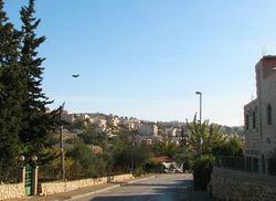 مدخل بيت صفافا