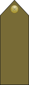 EgyptianArmyInsignia-WarrantOfficer.svg