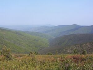 Hunker Creek Valley.JPG