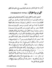 الصفحة التالية ←
