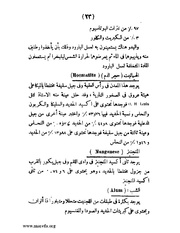 الصفحة التالية ←