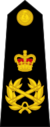 Field Marshal