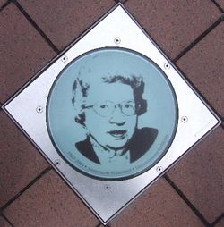 Schimmel bonngasse.jpg