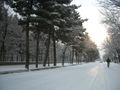 Shar-e Naw Park during the winter
