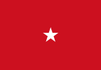 Flag of a Marine Corps Brigadier general