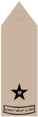 MULAZIM (Field uniforms).png