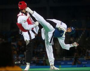 Milad Kharchegani at the 2016 Summer Olympics.jpg
