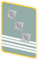 NSFK gorget patch