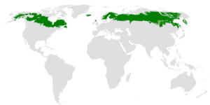 Taiga ecoregion.png