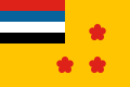 Flag of admiral of the Navy