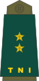 الجيش الإندونيسي