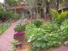PikiWiki Israel 1458 kiryat ono municipality עיריית קרית אונו.JPG