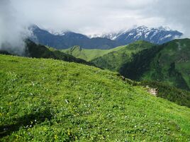 View of a Bugyal (meadow) في أوتاراخند