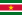 Flag of سورينام