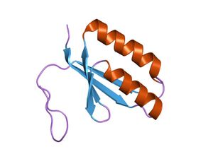 PDB 1zpw EBI.jpg
