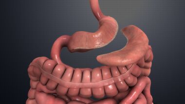 Sleeve Gastrectomy Surgery.jpg