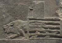 An attendant releases a lion from its cage