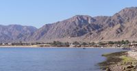 Nuweiba Tarabeen.JPG