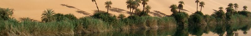 ملف:Oasis in Libya (cropped).jpg
