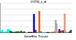 PBB GE INSR 213792 s at tn.png