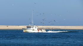 Chatham Beach, Massachusetts. - panoramio (7).jpg