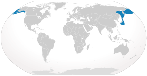 Cypron-Range Eubalaena japonica.svg