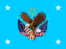 Flag of the Director of the National Cemetery System