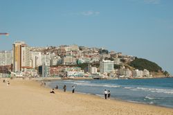 Greater Busan Area 동남 경제권موقع