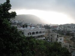 صورة من دير الأسد عام 2007