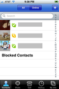 Skype 1.0.2 running on iPhone