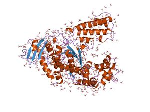 PDB 1ktq EBI.jpg