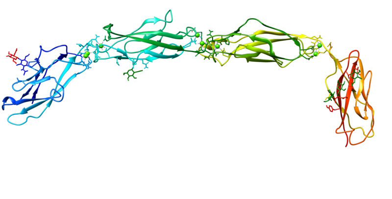 ملف:DSG3 protein.png
