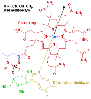 VitaminB12.png