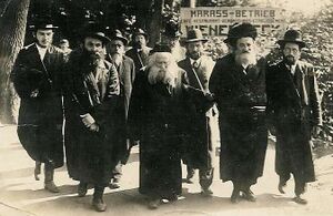 Imrei Emes entourage1.jpg