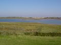 The Zwin nature reserve