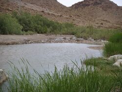 رودخانه ی زردشت.jpg