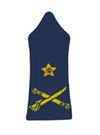 Lebanese-army-insignia-Brigadier-General.jpg