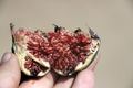 An open fig