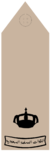 RAID (Field uniforms).png